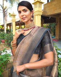 Collection of Elegant Light Beige Colour Tissue Saree in a gallery layout