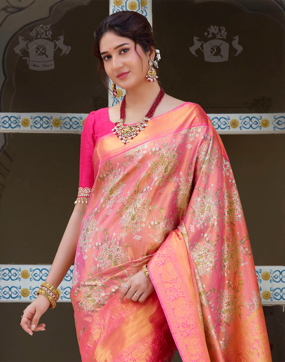 Collection of Double Shaded Peach Tissue Jaal Skut Border Saree in a gallery layout