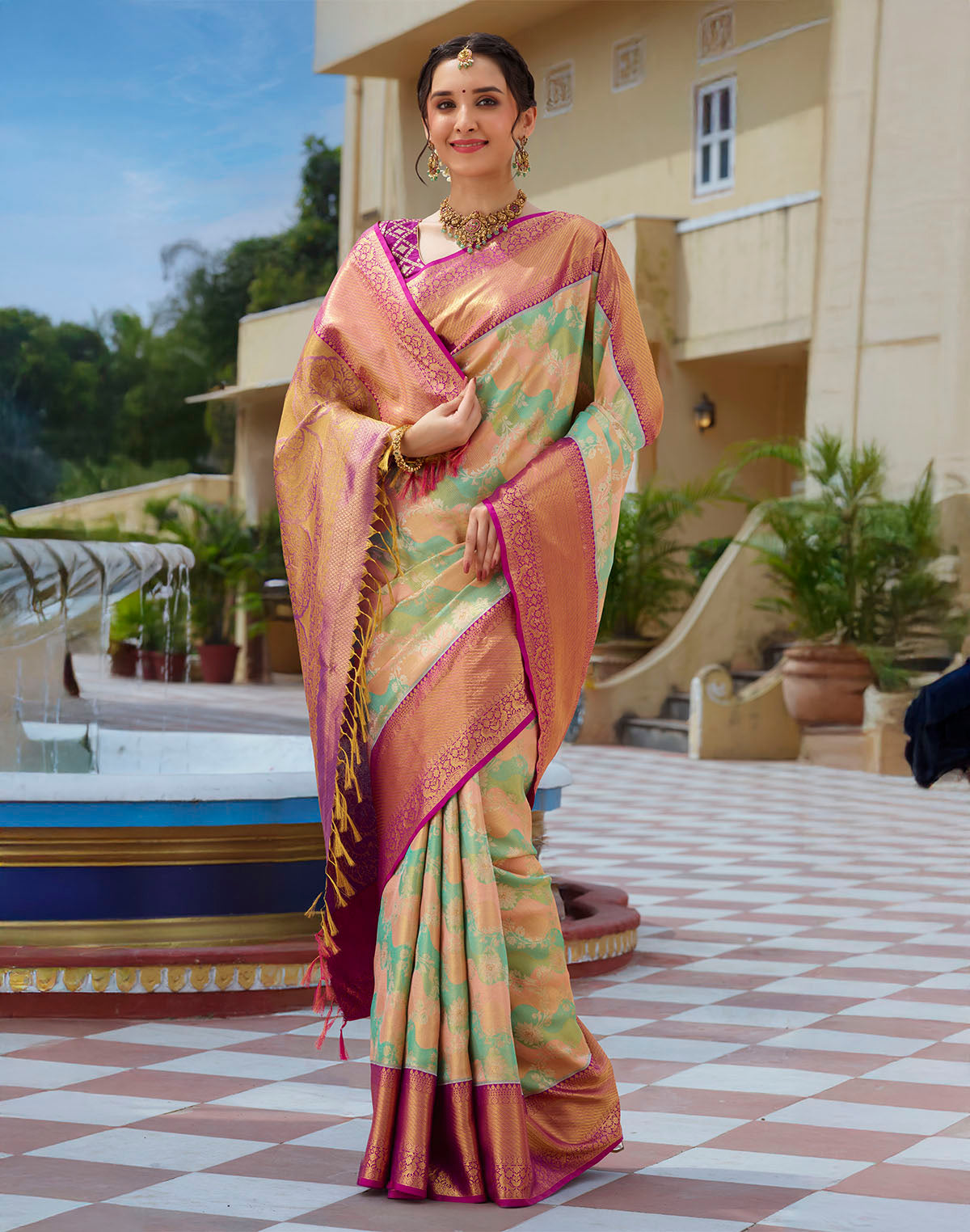 Multi Color Tissue Jaal Pure Silk Saree With Contrast Border