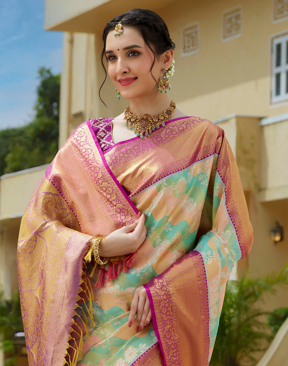 Collection of Multi Color Tissue Jaal Pure Silk Saree With Contrast Border in a gallery layout