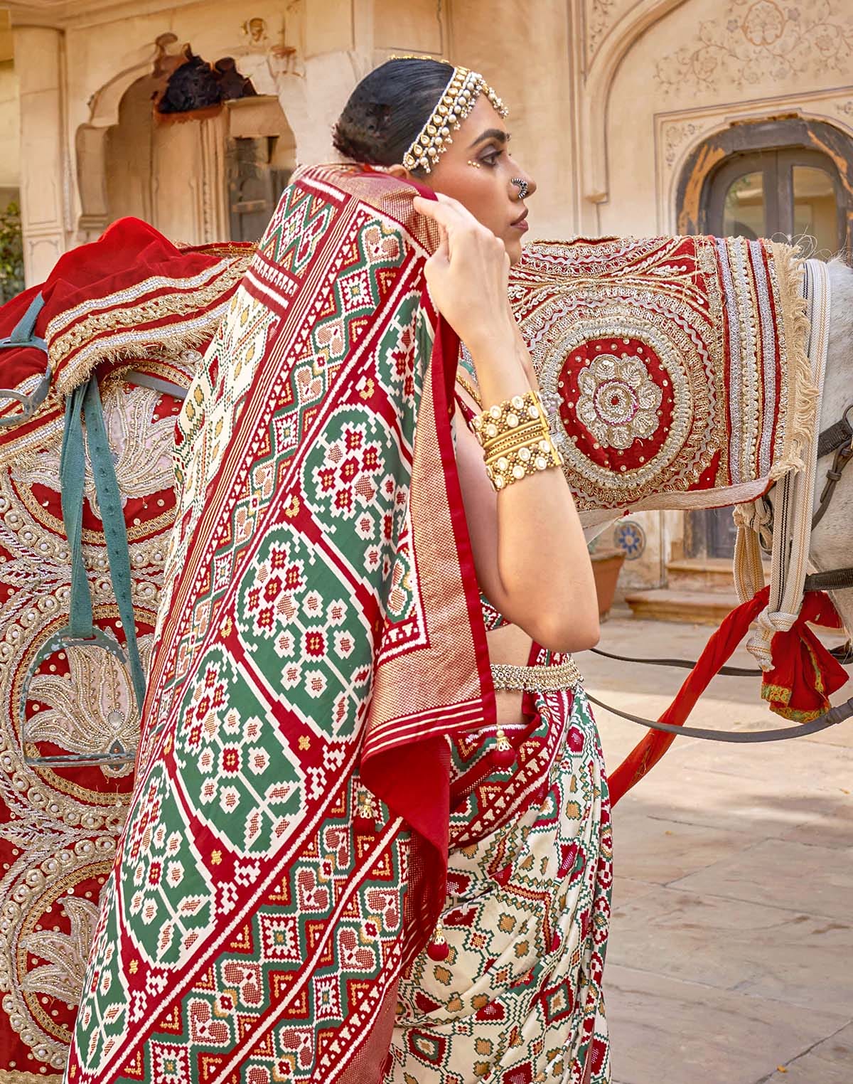 Collection of Patola Silk Ikat Saree in a gallery layout