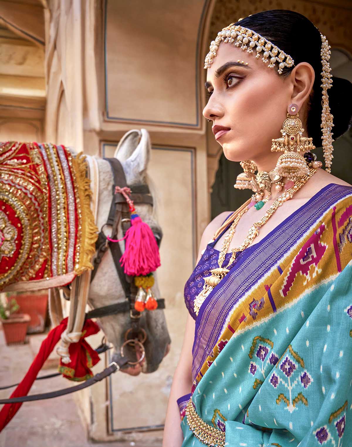 Collection of Patola Silk Saree with Violet Blouse in a gallery layout