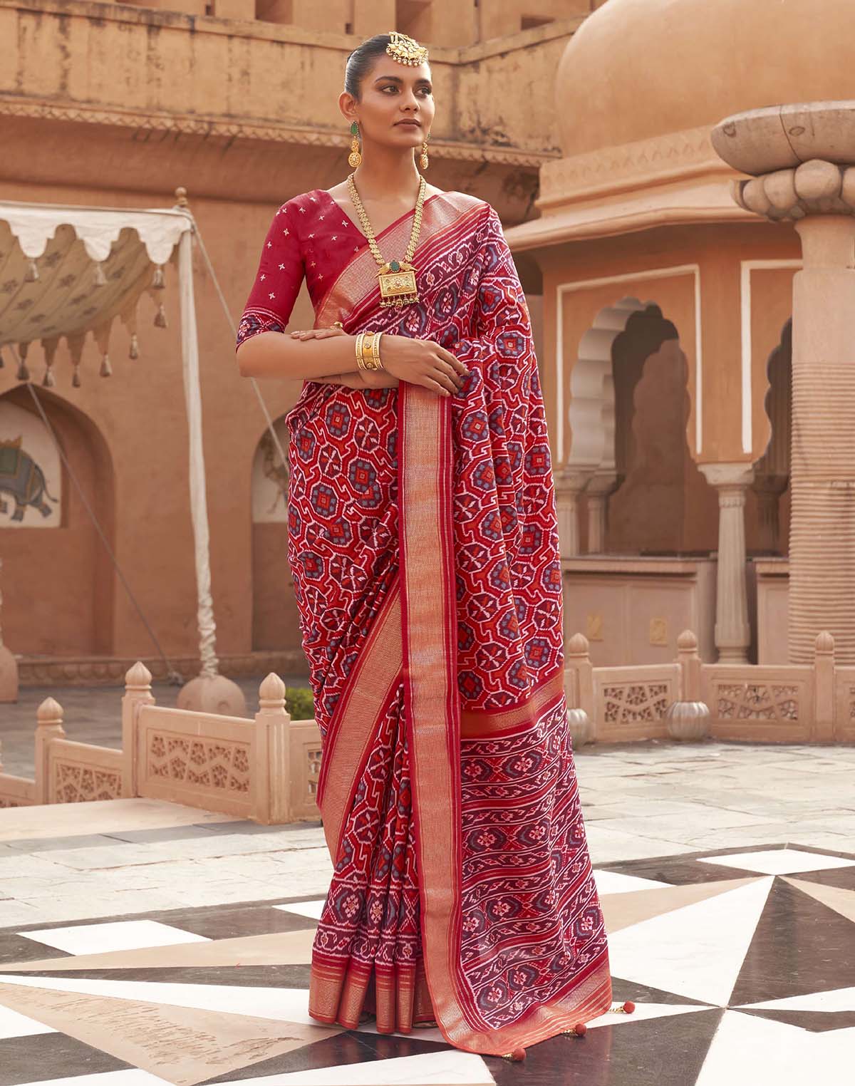 Collection of Red Ikat Print Patola Saree with Contrast Zari Border in a gallery layout