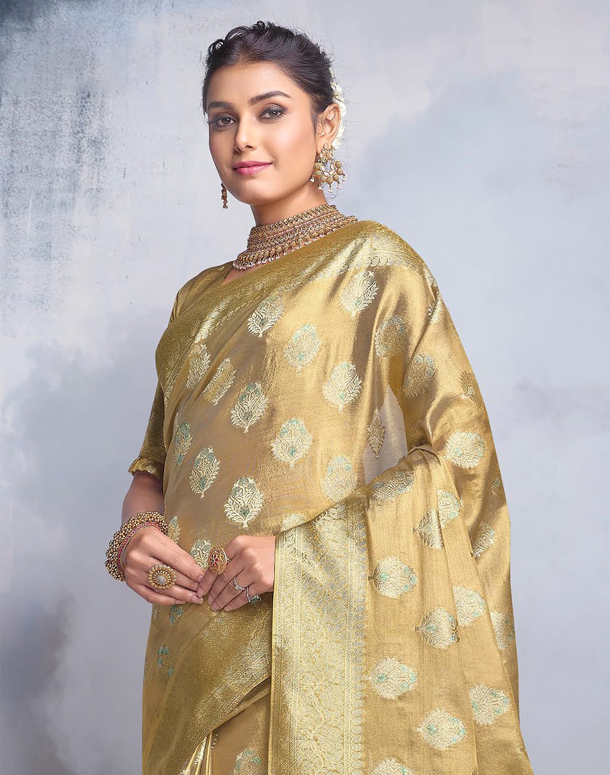 Brownish Gold Matte Banaras Tissue Saree