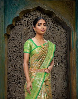 Collection of Light Grey Meenakari zari Silk Saree in a gallery layout