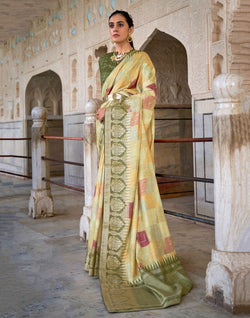 Collection of Light Green Banaras Silk Patola Fabric Saree in a gallery layout